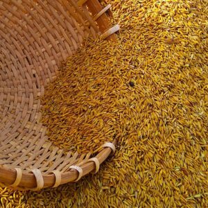 The Meaning of Zakat and Fasting