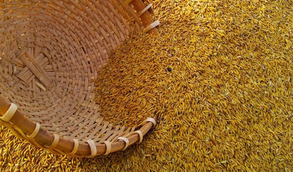 The Meaning of Zakat and Fasting